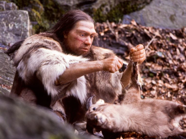 Homo sapiens neanderthalensis Jager e