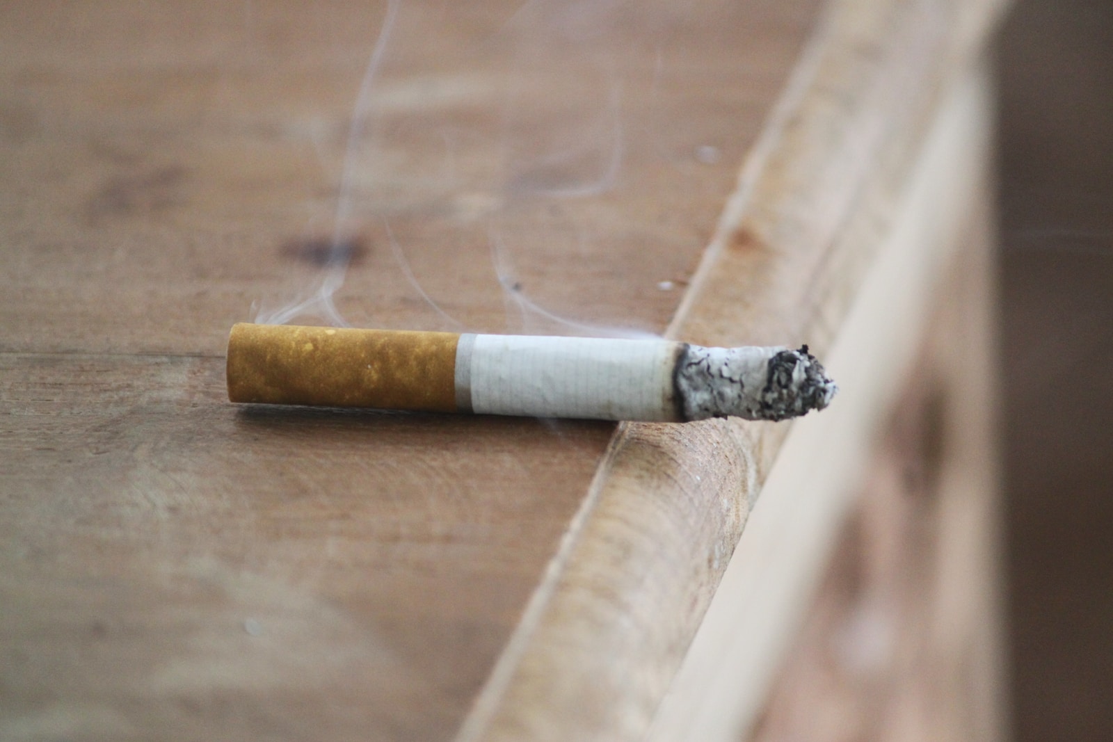 white and brown cigarette stick