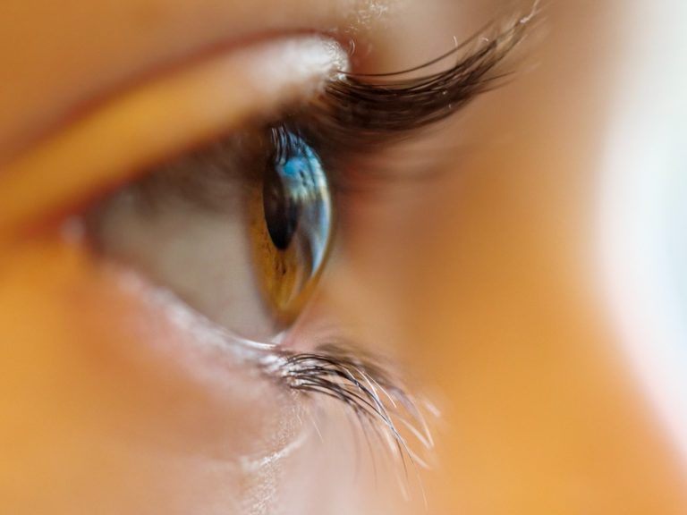 shallow focus photo of person brown iris