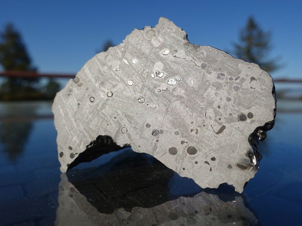 Full Metal Beauty of the Dronino Meteorite e
