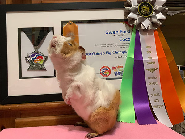 Coco posing in front of his trick certificate tcm  e