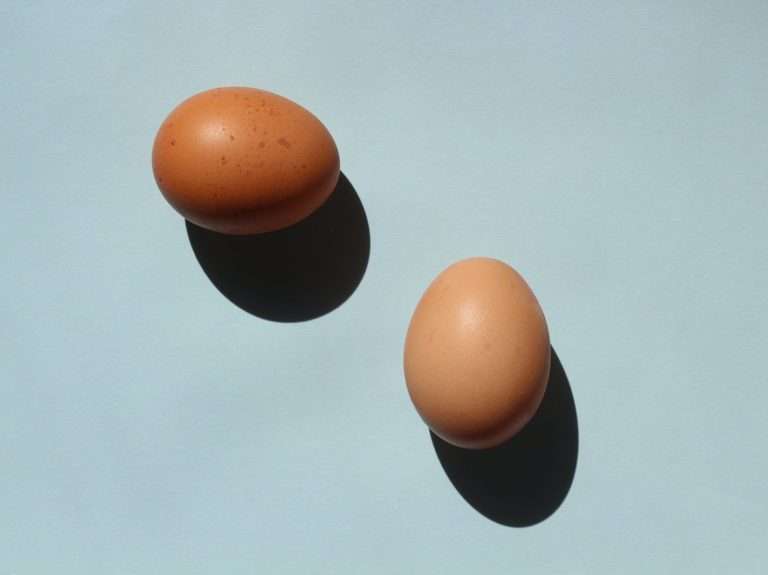 2 Brown Eggs on Blue Background
