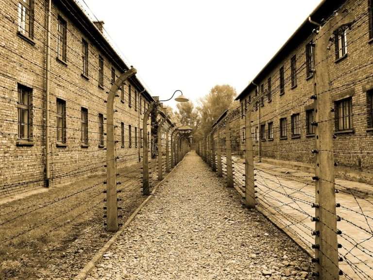 auschwitz, extermination camp, alley