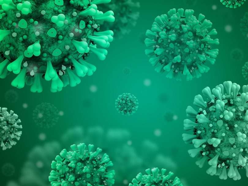 coronavirus disease covid-2019, coronavirus, corona