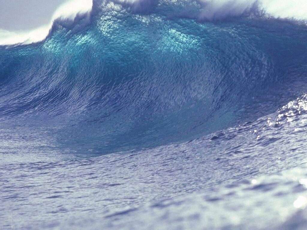 wave, water, sea