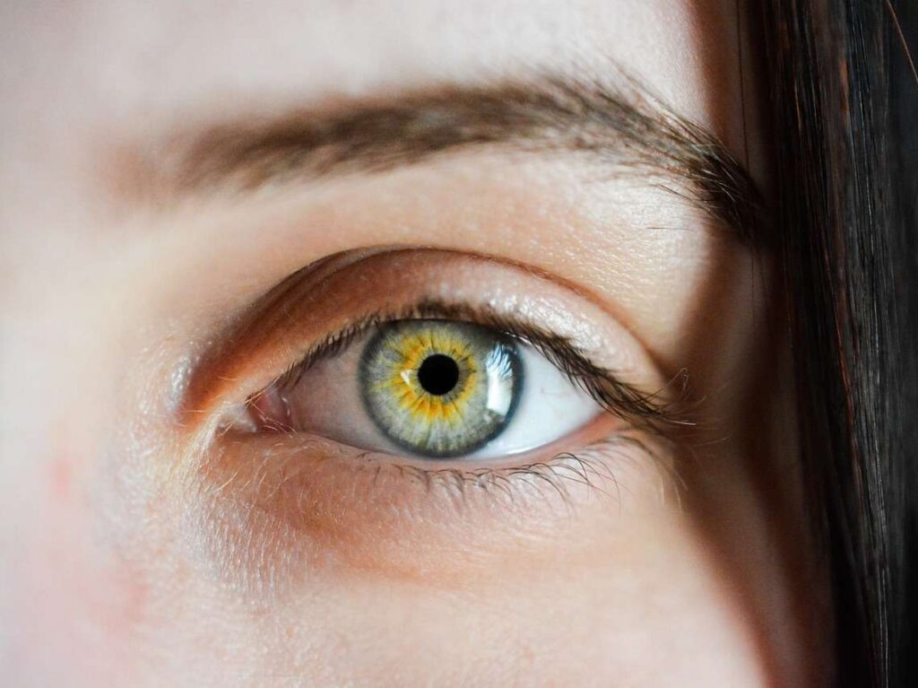eye, iris, macro