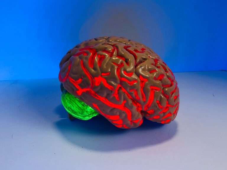 brain figurine