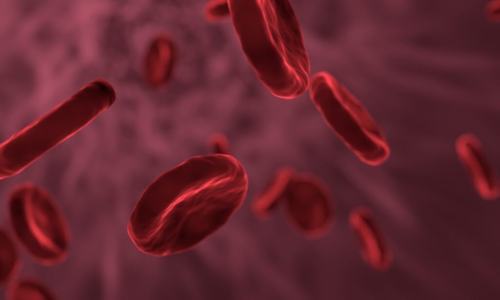 red blood cells, microbiology, biology
